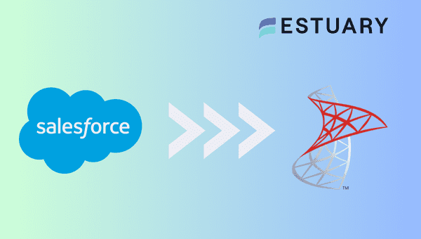 Salesforce to SQL Server 