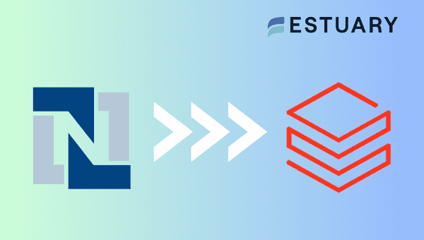 netsuite to databricks - Blog hero image
