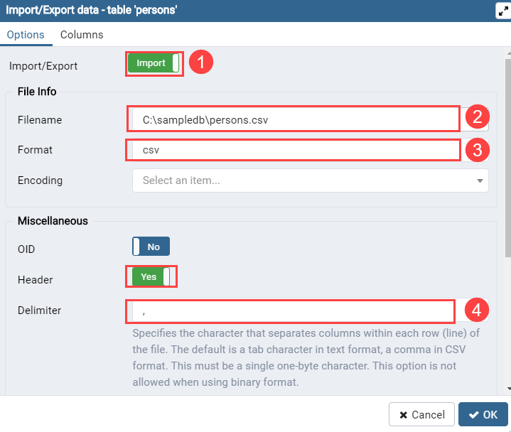 amplitude to snowflake - method 2 step 2 - configuring import of csv file