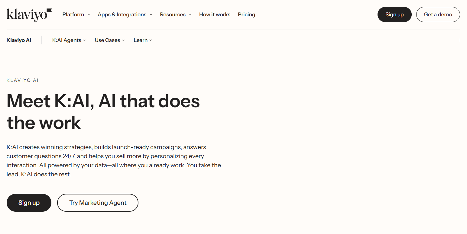 Klaviyo AI Marketing Tool