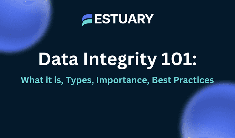 Data Integrity 101 What It Is Types Importance Best Practices