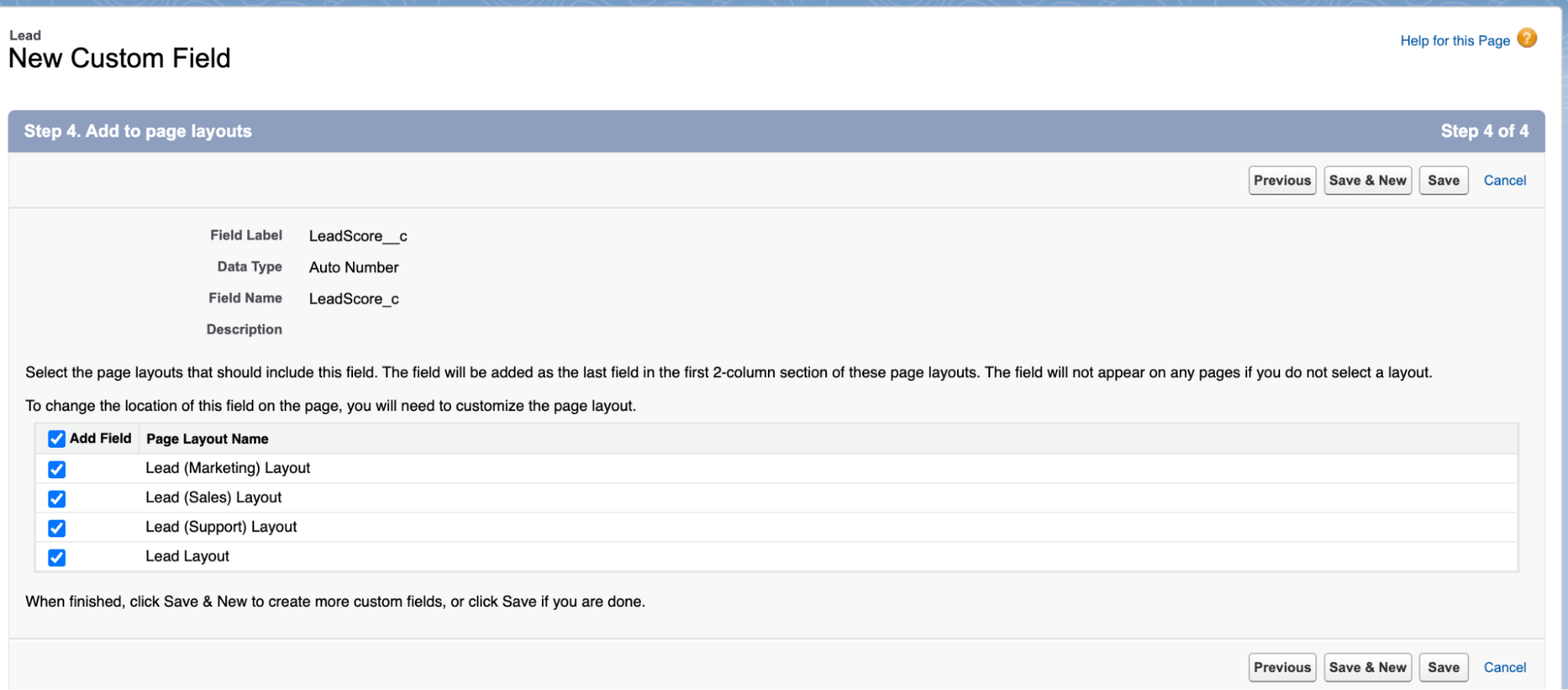 New Custom Field for Leads