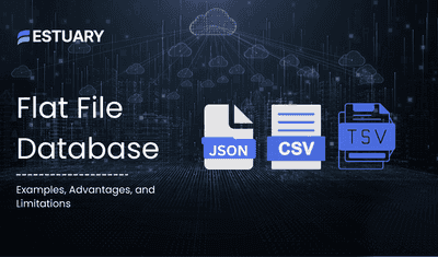 Flat File Database: Definition, Examples, Advantages, and Limitations