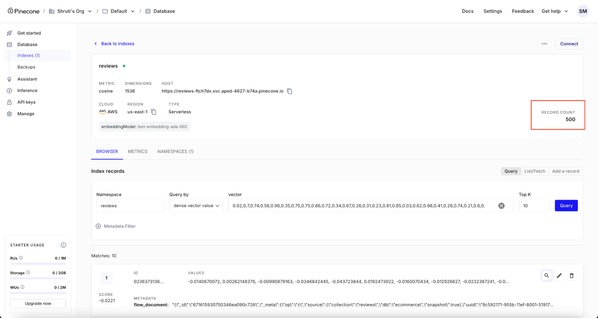 Real-Time RAG System - Reviews Index - 500 Records