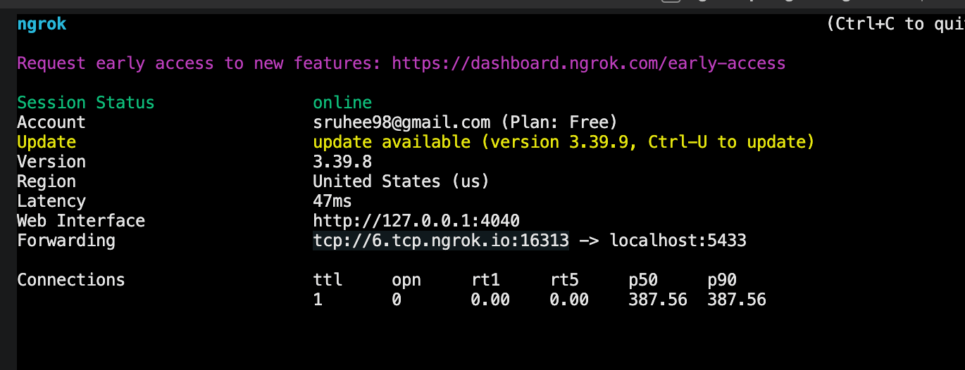 ngrok TCP tunnel forwarding PostgreSQL to a public endpoint