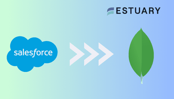 Salesforce to MongoDB