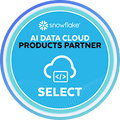 AI data-cloud products partner