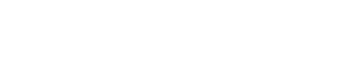 Dashlytix logo