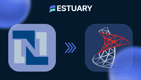 NetSuite to SQL Server
